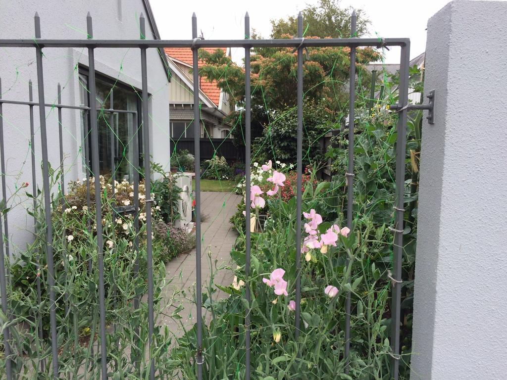 Garden Bed And Breakfast Christchurch Ngoại thất bức ảnh
