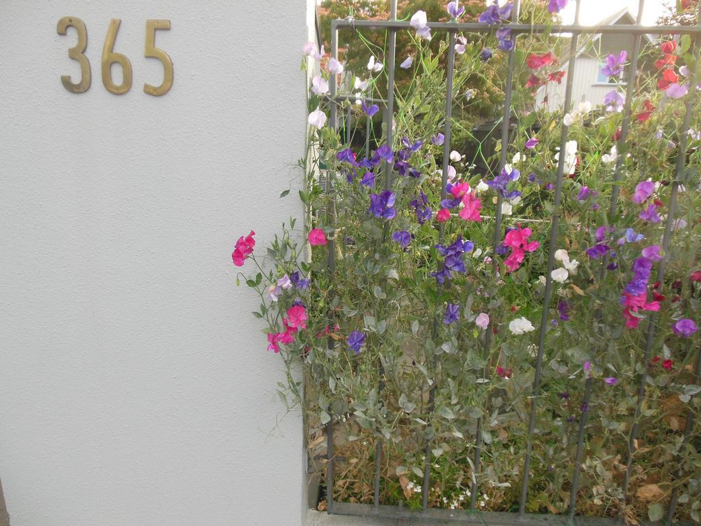 Garden Bed And Breakfast Christchurch Ngoại thất bức ảnh