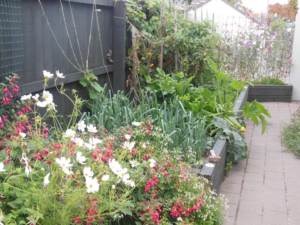 Garden Bed And Breakfast Christchurch Ngoại thất bức ảnh